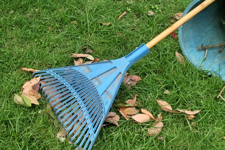 Raking the Lawn