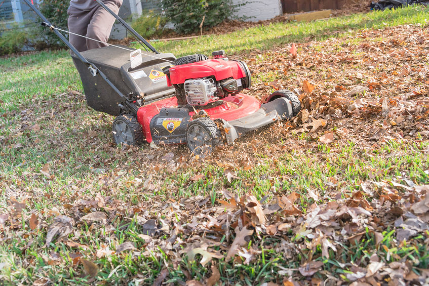 Using a leaf muncher in the fall