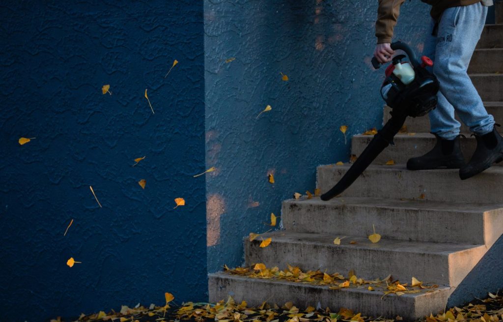 Fall leaf cleaning with leaf blower