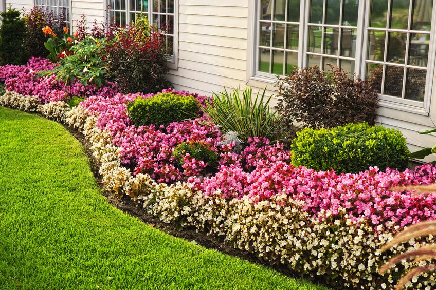 Flower bed along house